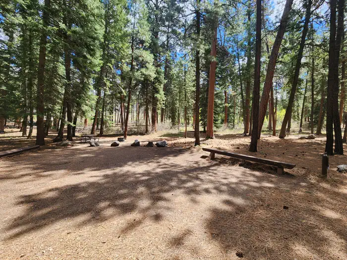 Pine Point Campground