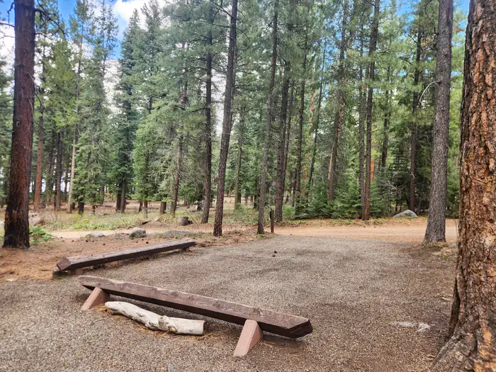 Pine Point Campground