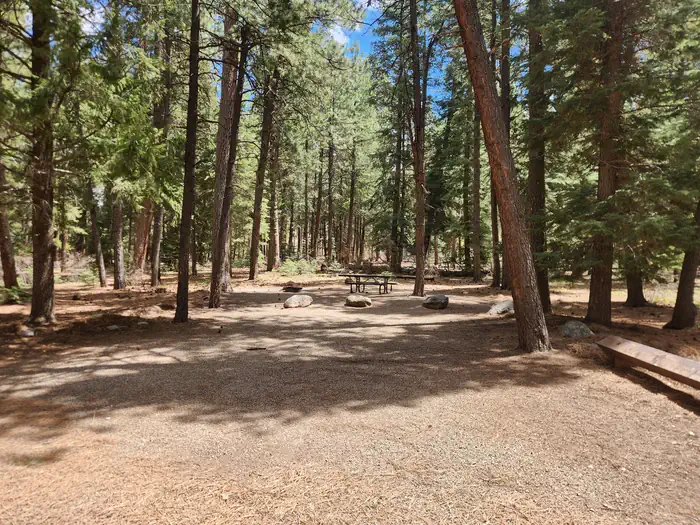 Pine Point Campground