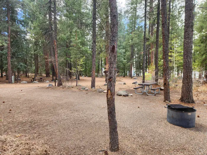 Pine Point Campground