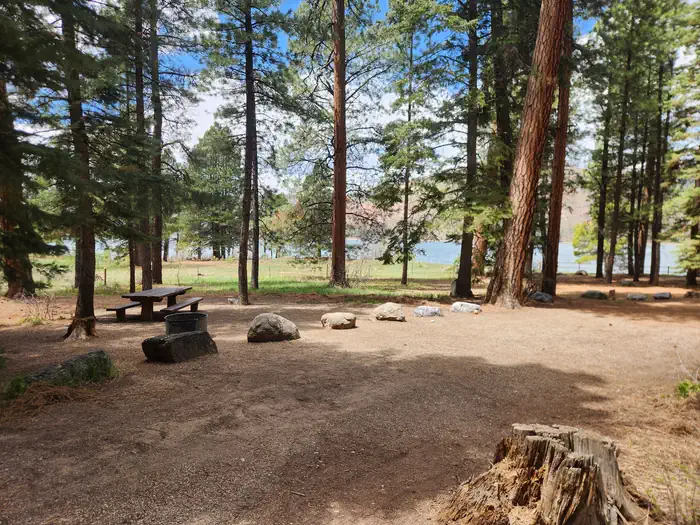 Pine Point Campground