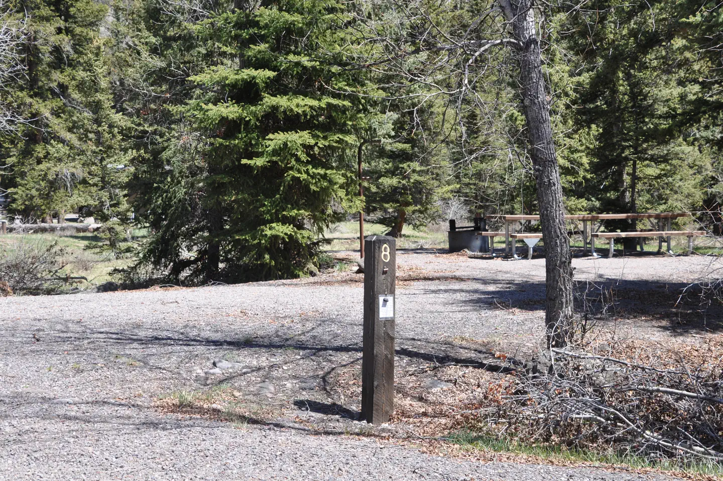 Elk Creek Campground (rio Grande Nf)