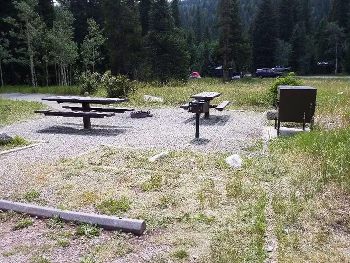 Camp Dick