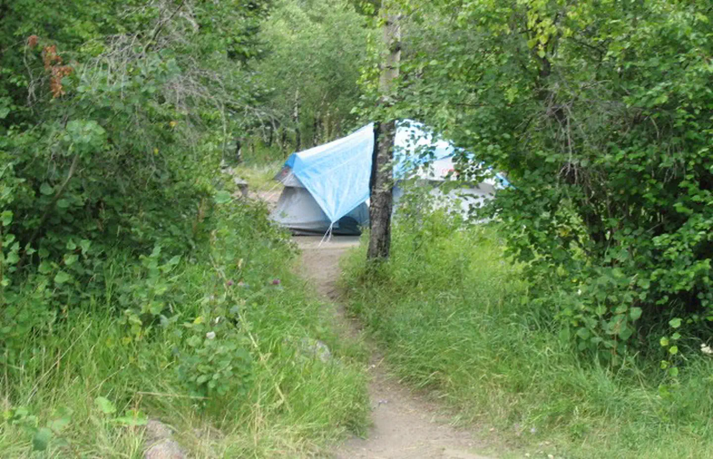 Aspenglen Campground