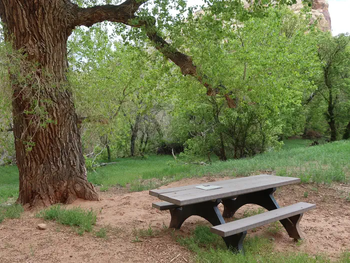 Echo Park Campground Group Site