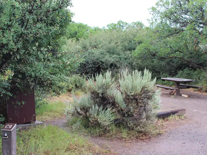 Black Canyon of the Gunnison South Rim Campground 
