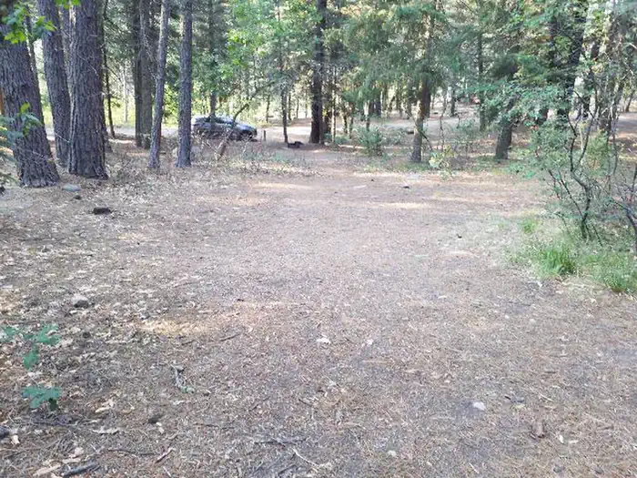 East Fork Campground (San Juan NF - CO)