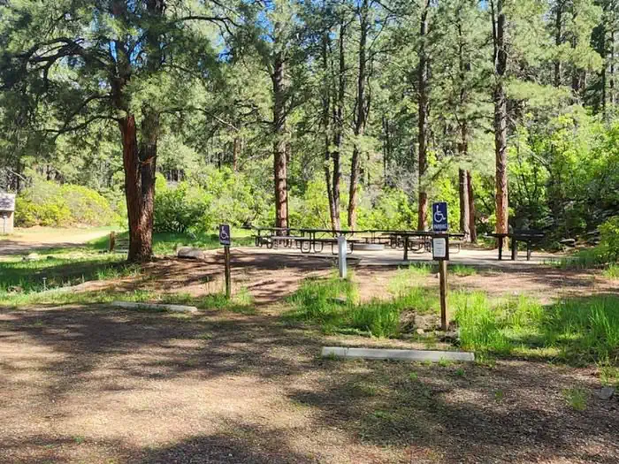 Junction Creek Campground