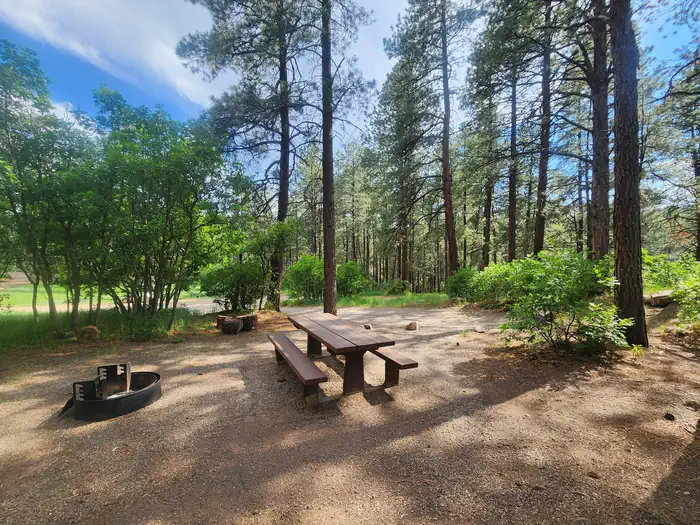 Junction Creek Campground