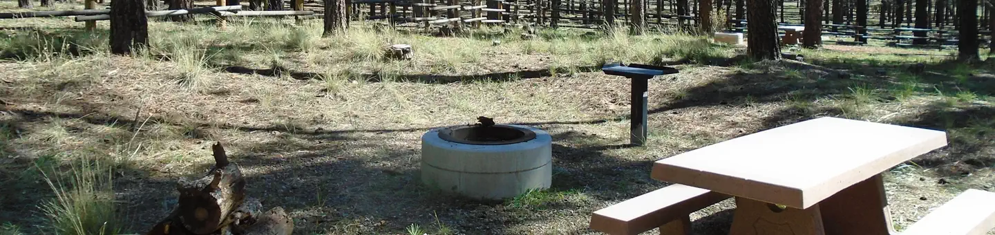 Buckeye Campground