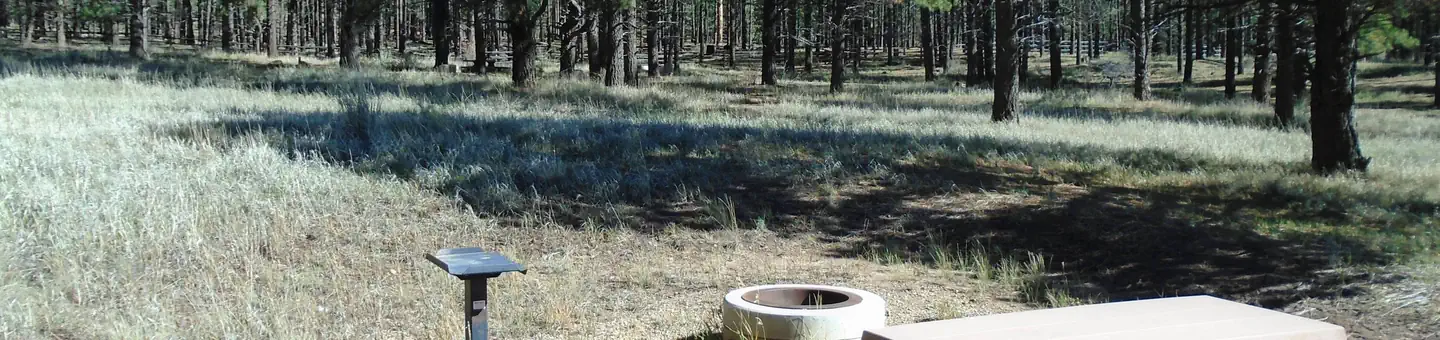 Buckeye Campground