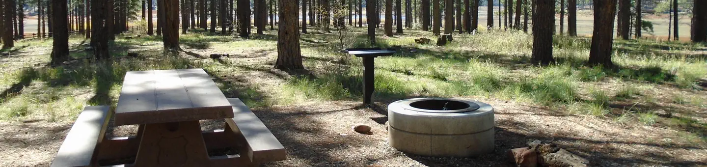 Buckeye Campground