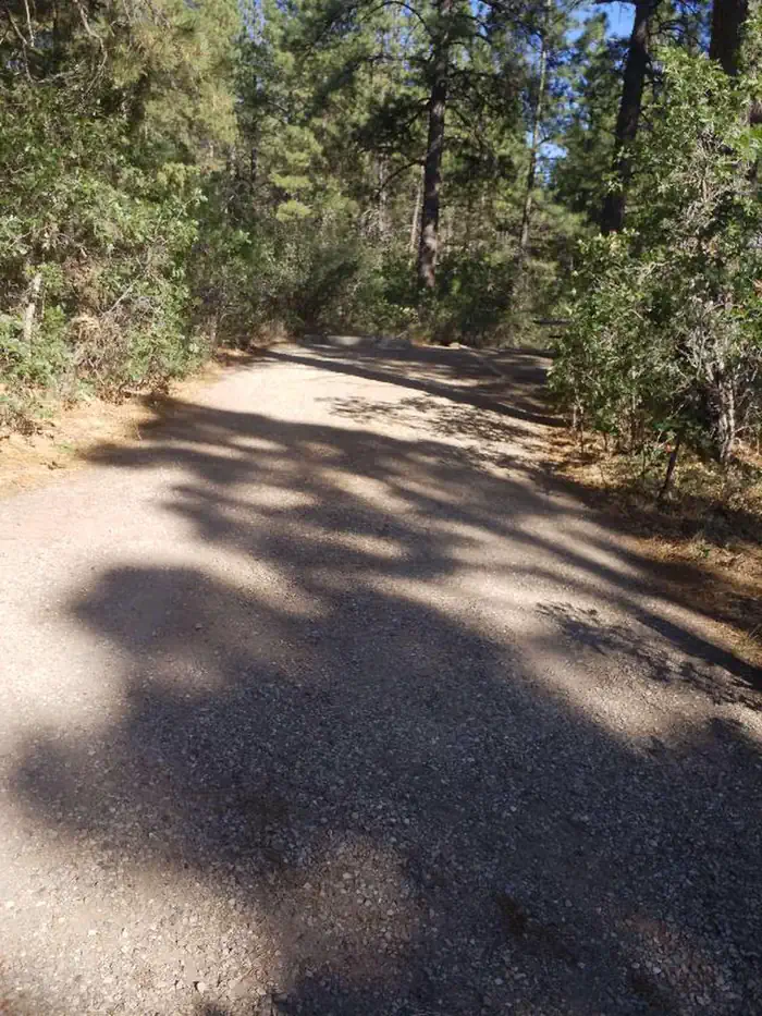 Target Tree Campground