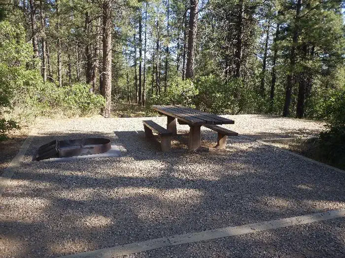 Target Tree Campground