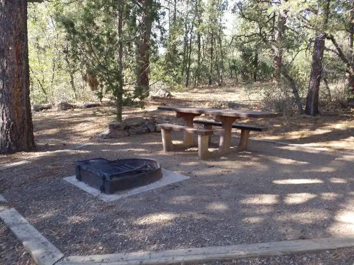Target Tree Campground