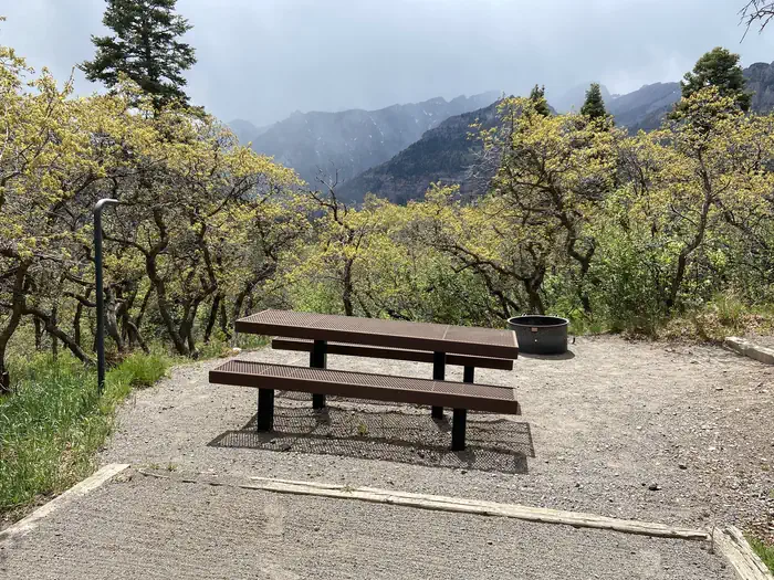 Amphitheater Campground