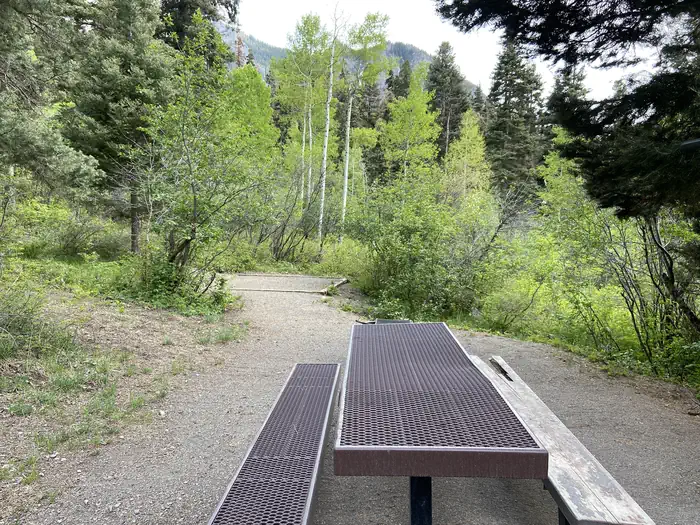 Amphitheater Campground