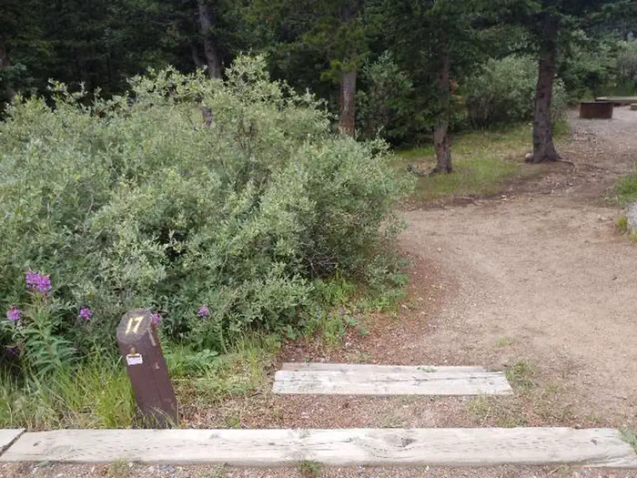 Arapaho National Forest Echo Lake Campground