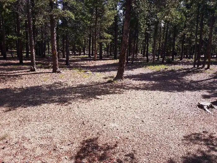 Columbine Campground