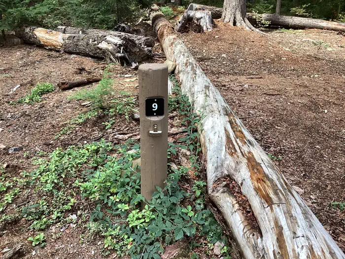 North Arm Campground