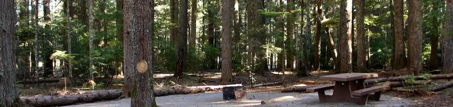 North Arm Campground