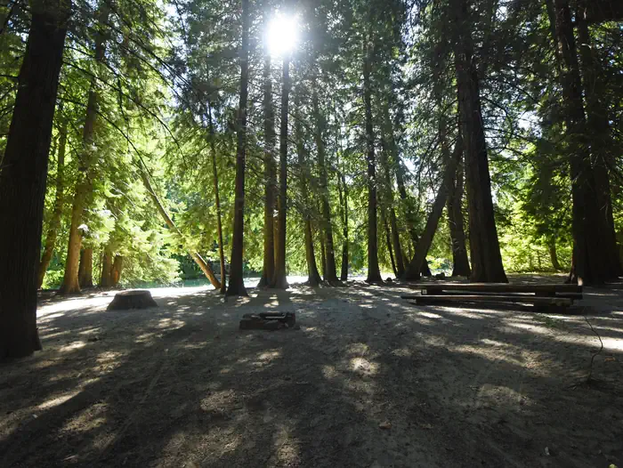 Harlequin Campground