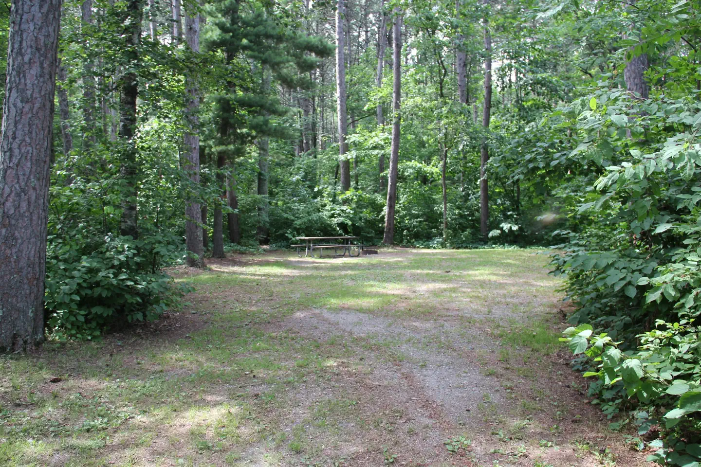 Deer Lake Campground