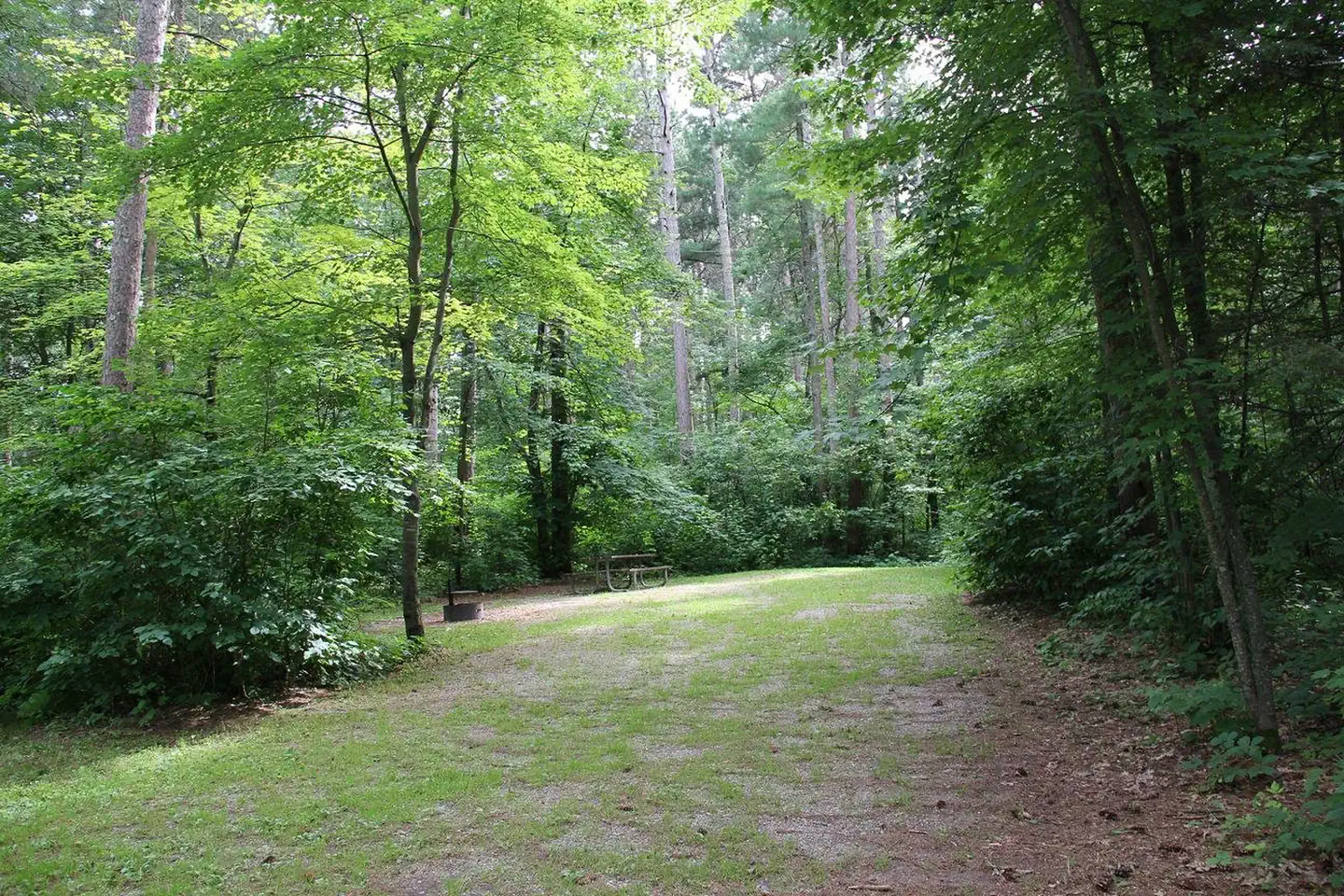 Deer Lake Campground
