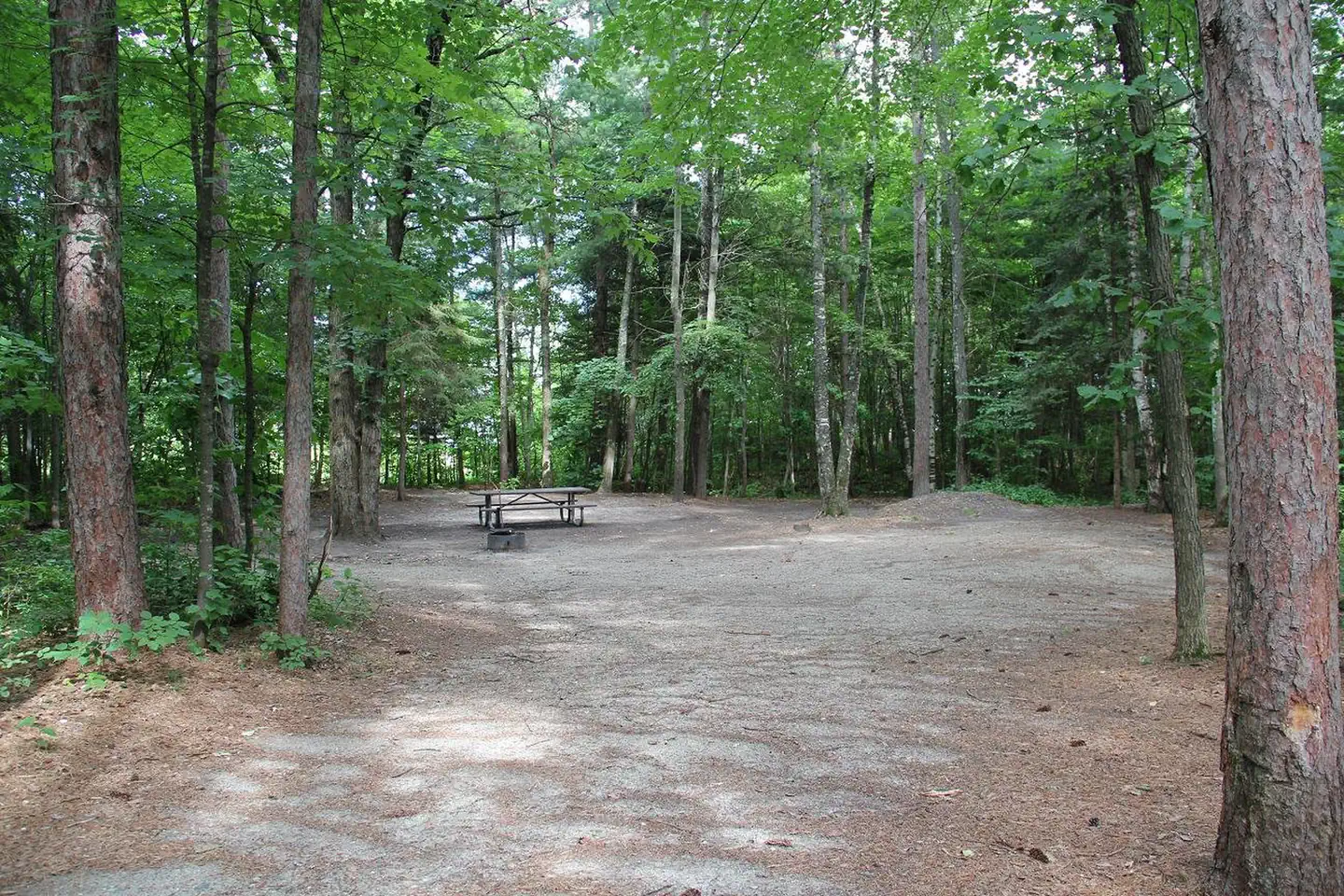Deer Lake Campground