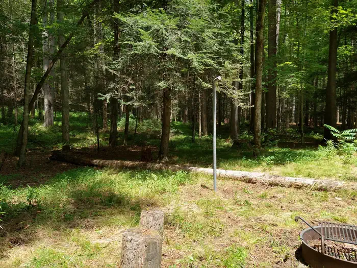 Basin Cove Campground - Primative Camping