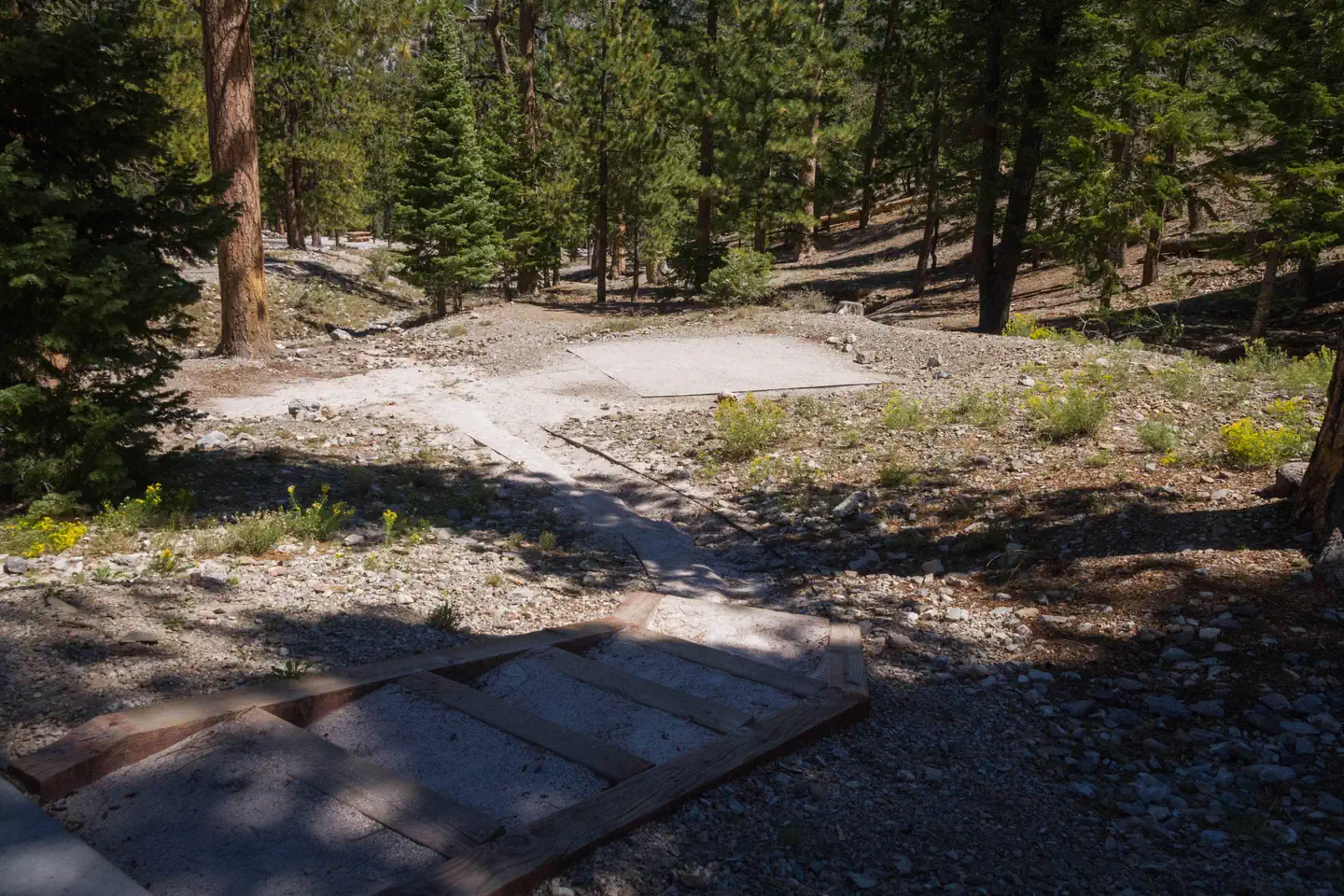 McWilliams Campground