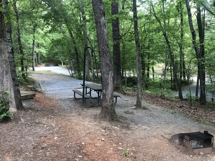 Morganton Point Campground