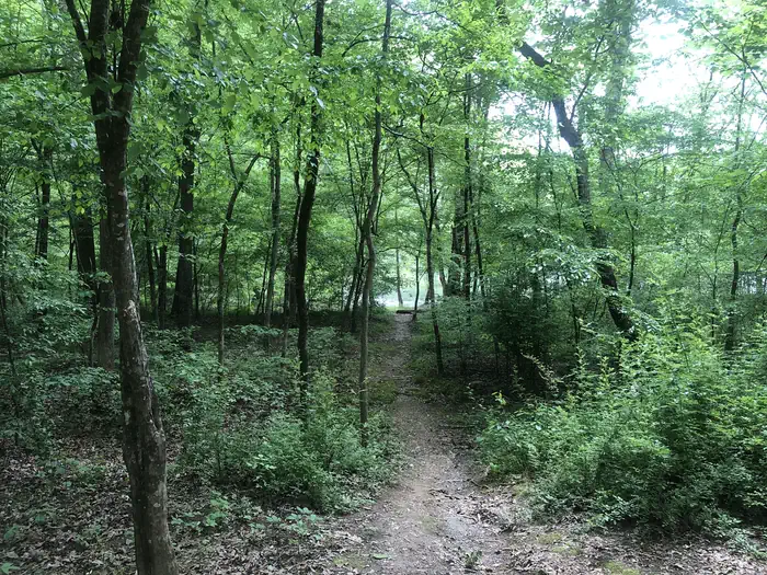 Morganton Point Campground