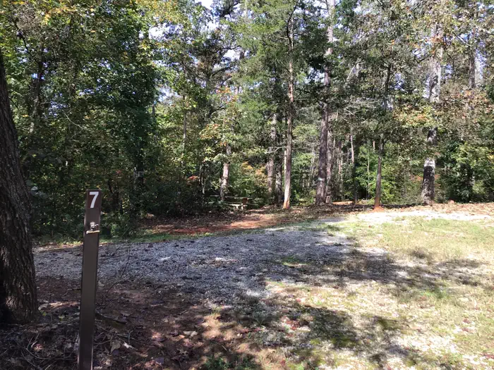 Woods Ferry Campground (SC)