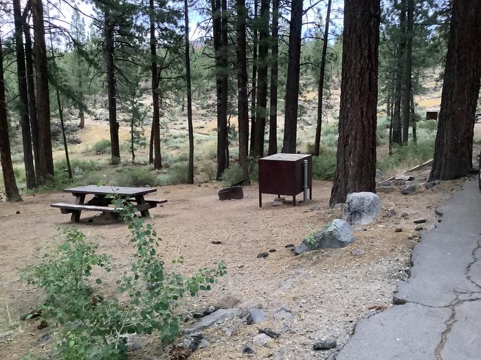 Plumas National Forest Spring Creek Campground