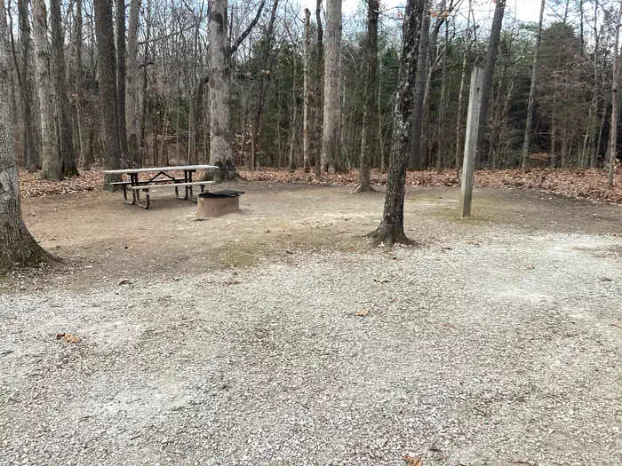 Youngs Creek Horse Camp