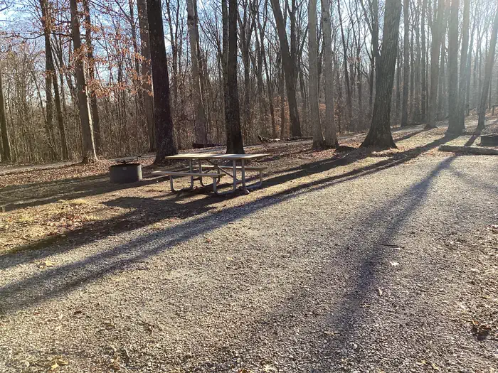 Youngs Creek Horse Camp