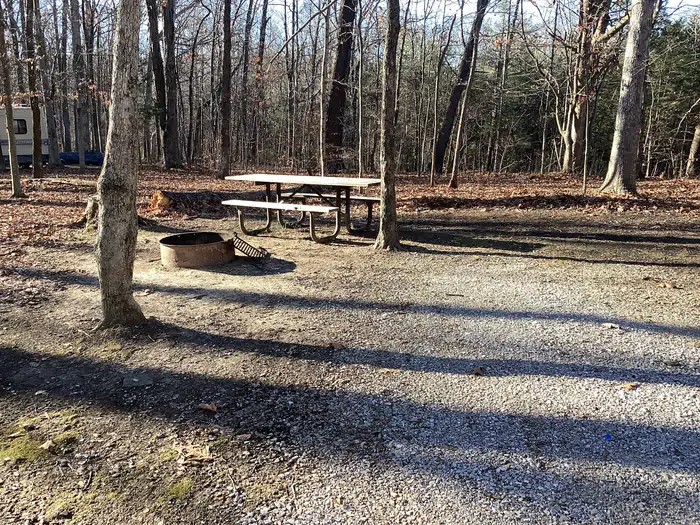 Youngs Creek Horse Camp