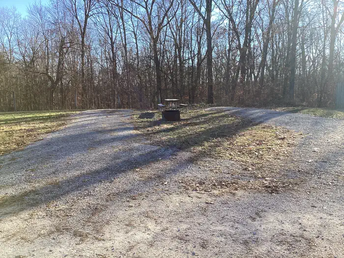 Youngs Creek Horse Camp