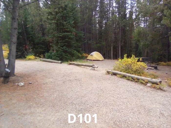 101
