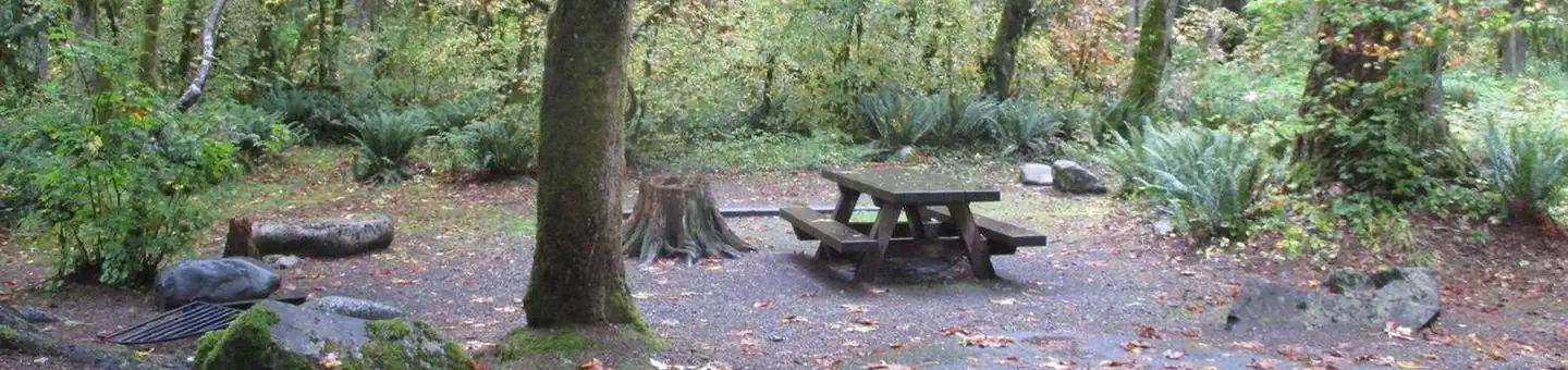 Verlot Campground