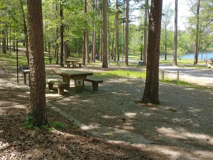 Cowhide Cove Campground