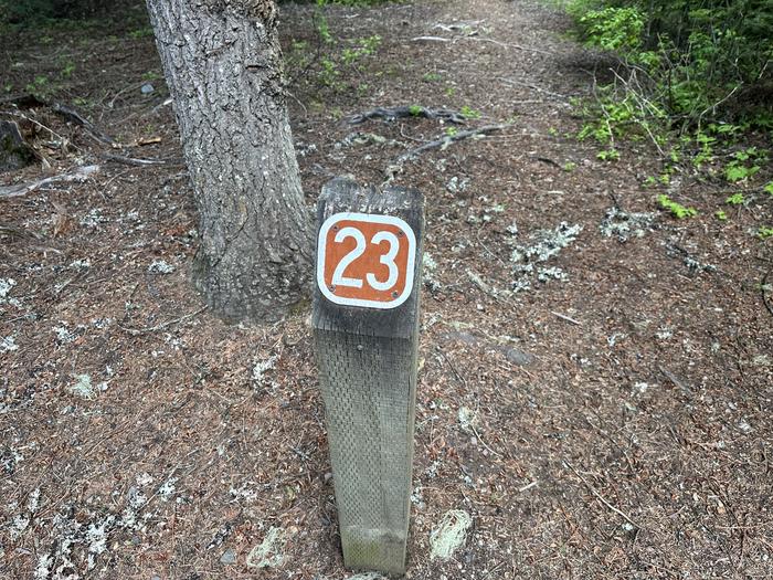 South Skookum Lake Campground