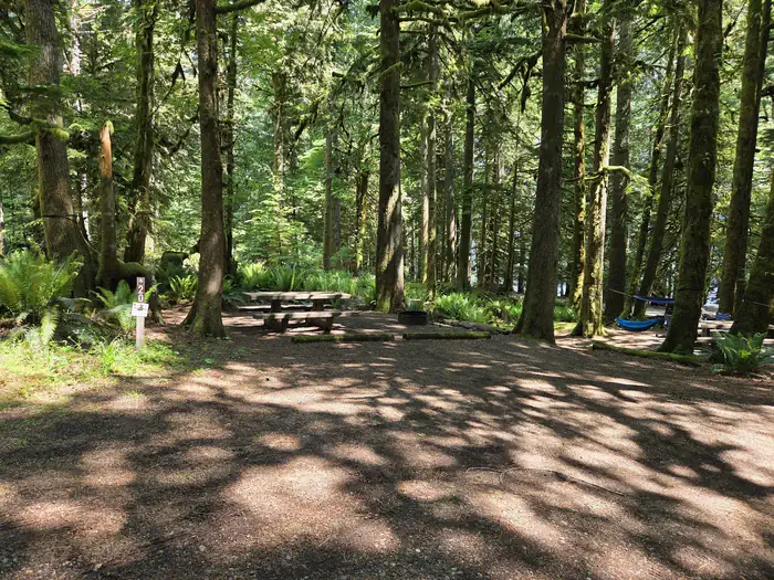Fairholme Campground - Olympic National Park