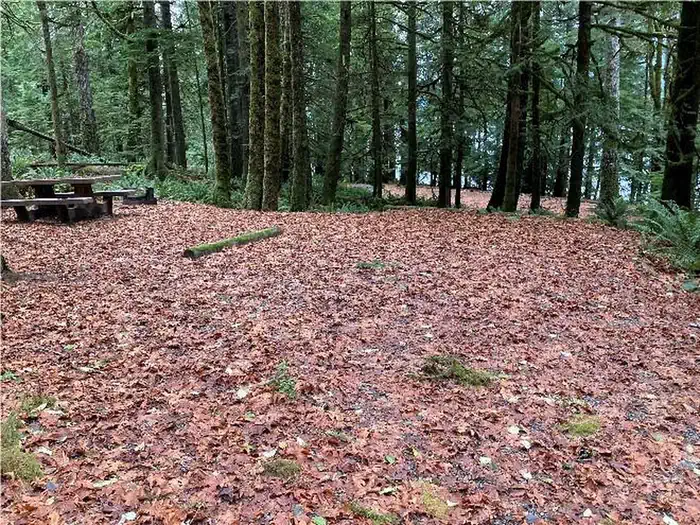 Fairholme Campground - Olympic National Park