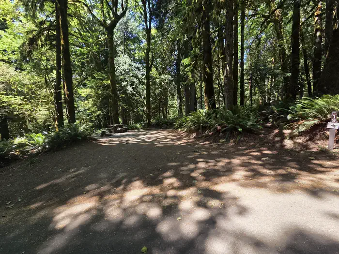 Fairholme Campground - Olympic National Park
