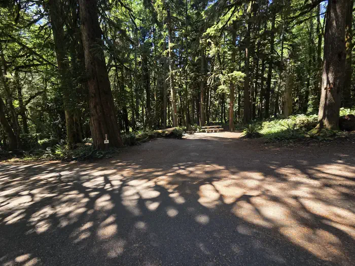 Fairholme Campground - Olympic National Park
