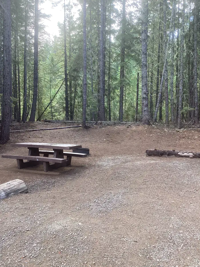 Gone Creek