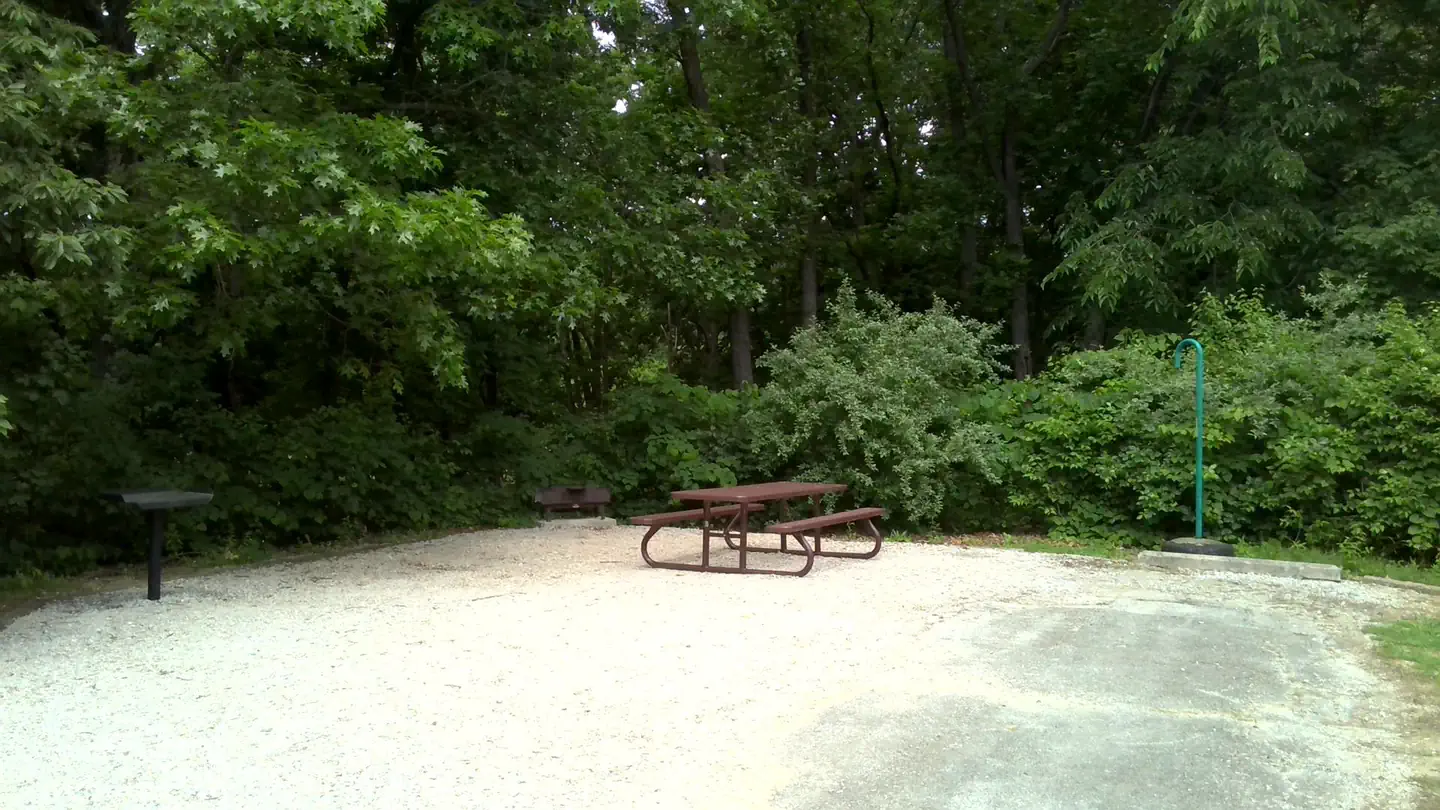 LONE POINT