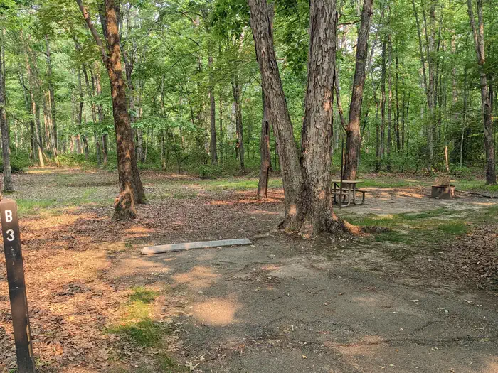 Oak Ridge Campground - Prince William Forest Park